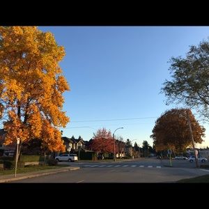 Meet your Posher, Eunhye